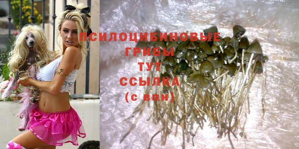 дмт Абинск