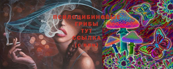 дурь Абаза