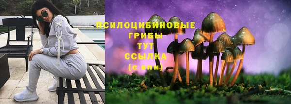 дмт Абинск