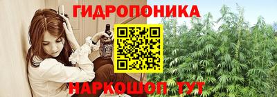 mdpv Кингисепп