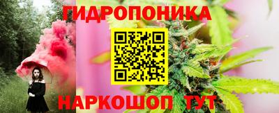 mdpv Кингисепп