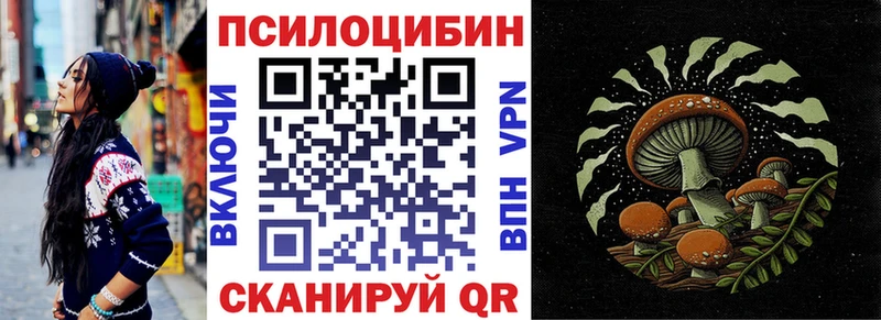 Псилоцибиновые грибы Psilocybine cubensis ОМГ ОМГ ONION Липецк