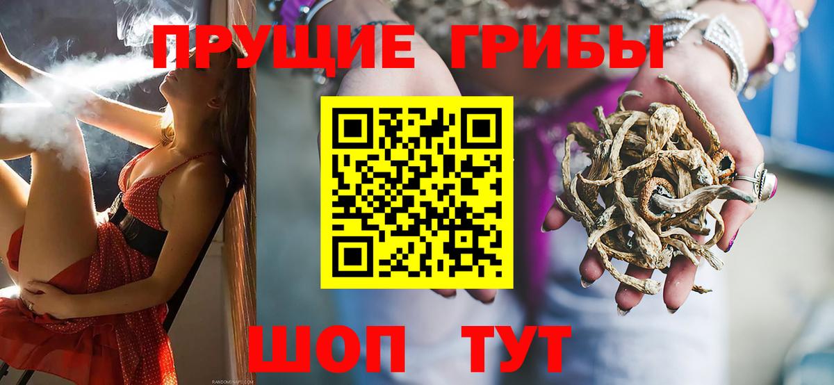 Псилоцибиновые грибы GOLDEN TEACHER Липецк