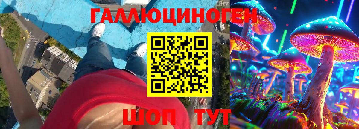 ГАШ Липецк