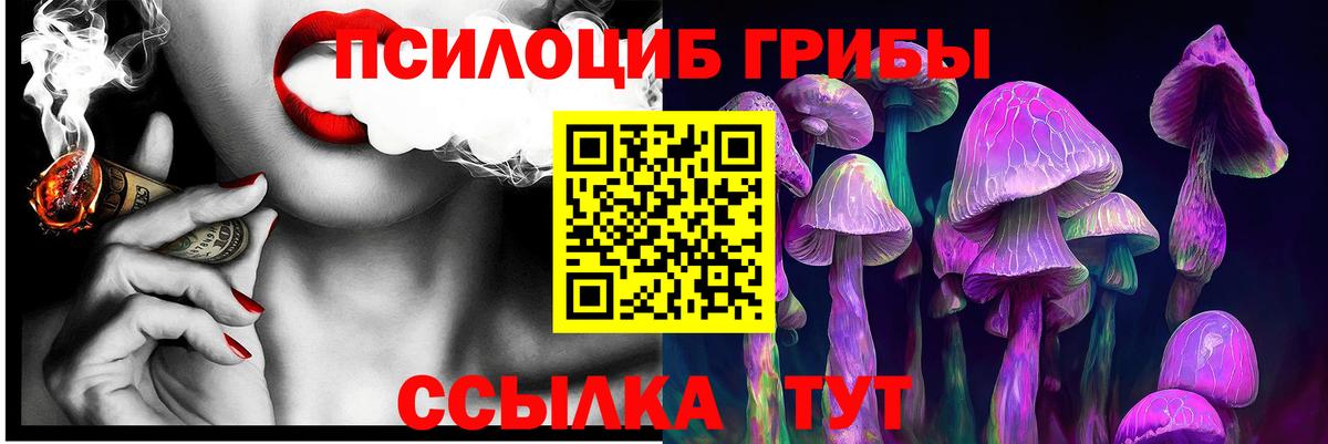 Псилоцибиновые грибы MAGIC MUSHROOMS  Вход с VPN  Липецк 